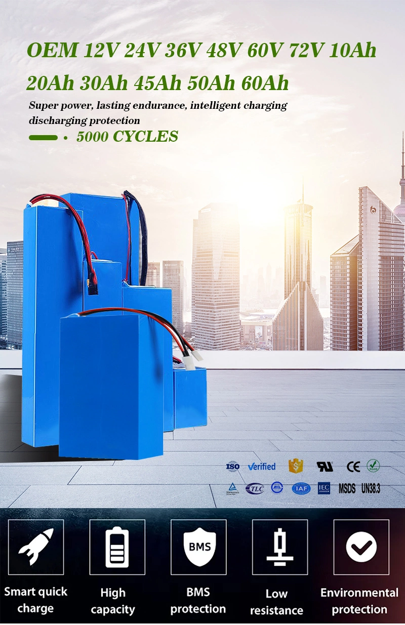 Cts Customized Lithium Battery 12V 24V 48V 60V 72V 20ah 30ah 40ah LiFePO4 Battery Pack for Electric Scooter