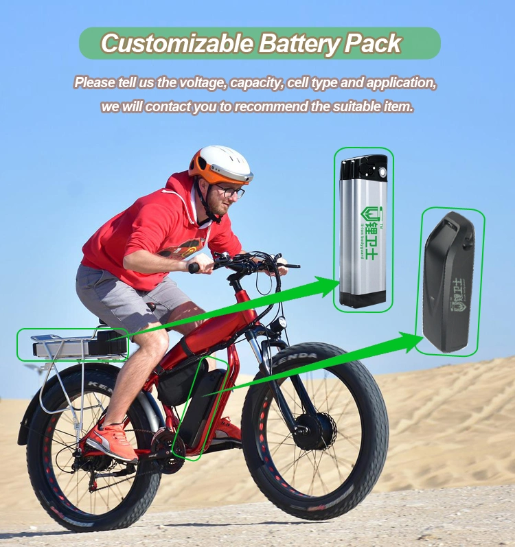 Lws Volt LiFePO4 Battery Pack 12V 24V 36V 48V 60V 72V 40ah 50ah 60ah 100ah Electric Bicycle Lithium Ion Battery